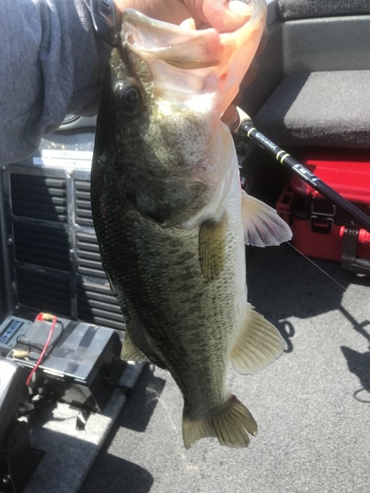 truth ブログ写真 2019/06/13