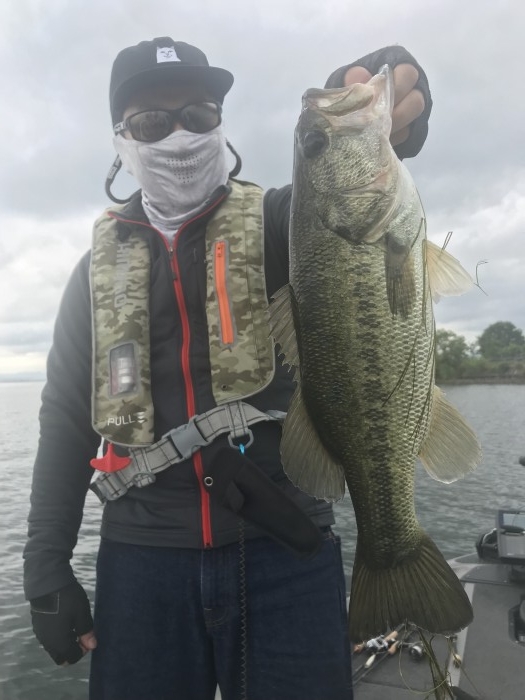 truth  ブログ写真 2019/06/14