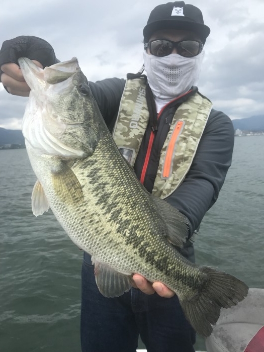 truth  ブログ写真 2019/06/14