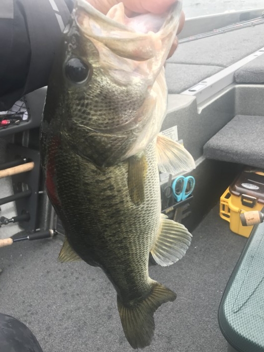 truth  ブログ写真 2019/06/14