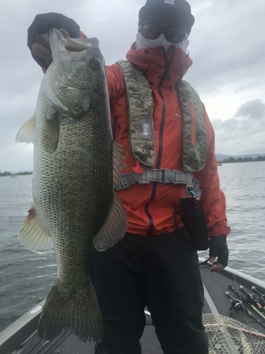 truth  ブログ写真 2019/06/14