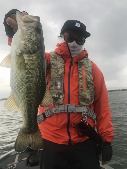 truth  ブログ写真 2019/06/14