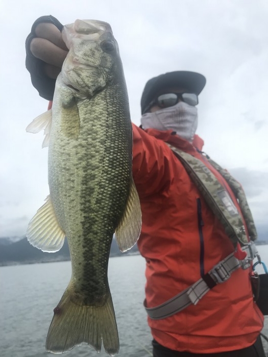 truth  ブログ写真 2019/06/14