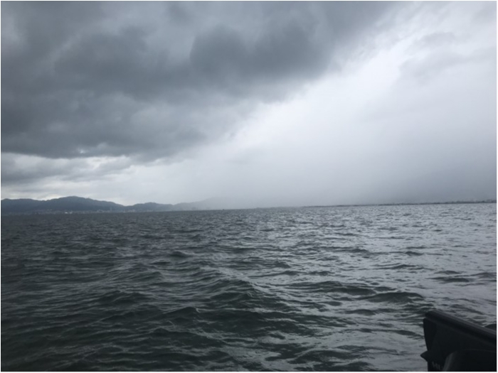 truth  ãã­ã°åç 2019/06/14