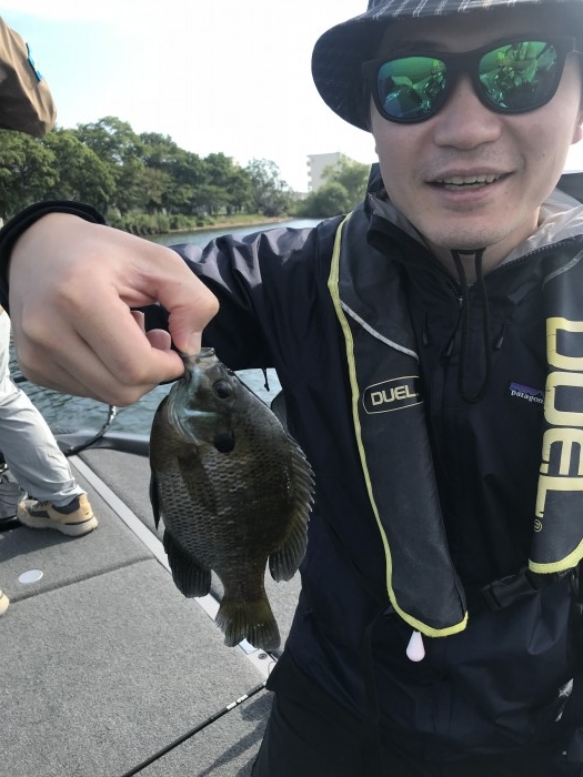 truth  ブログ写真 2019/06/18