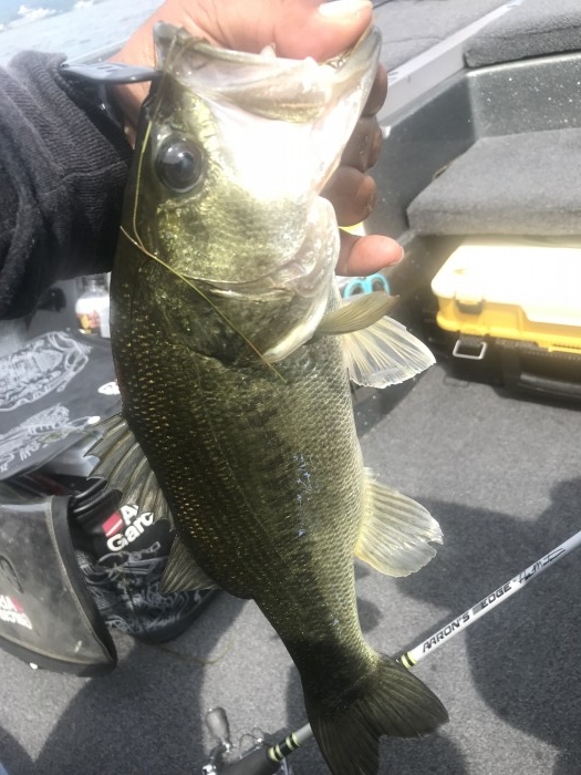 truth  ブログ写真 2019/06/18