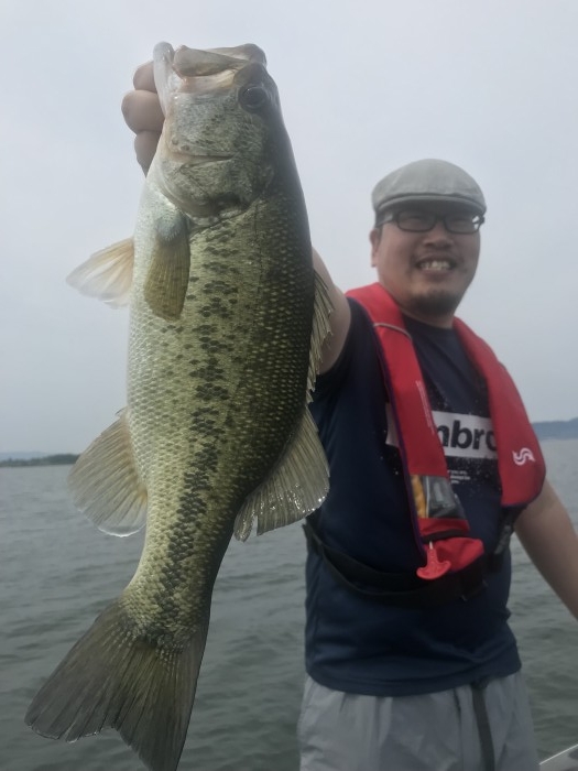 truth  ブログ写真 2019/06/18