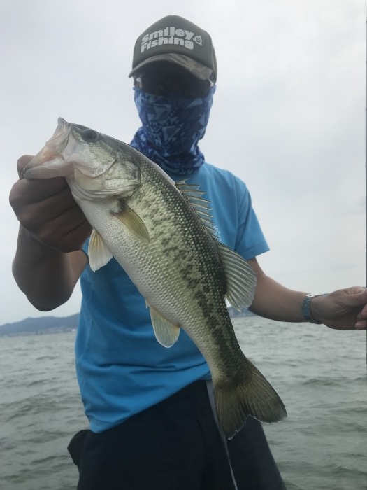 truth  ブログ写真 2019/06/18