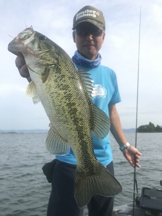 truth  ブログ写真 2019/06/18