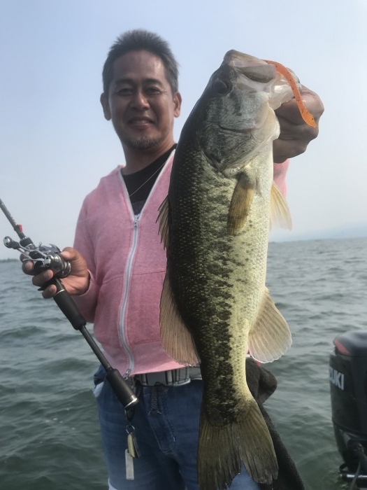 truth  ブログ写真 2019/06/19