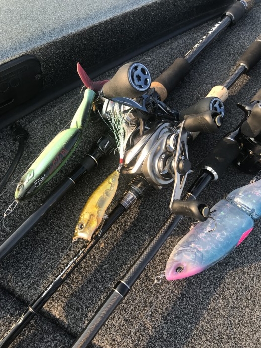 truth  ブログ写真 2019/06/20