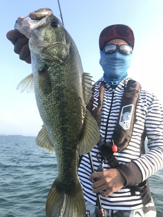 truth  ブログ写真 2019/06/20