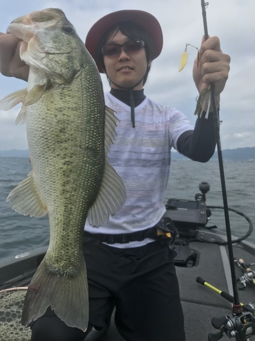 truth  ブログ写真 2019/06/22