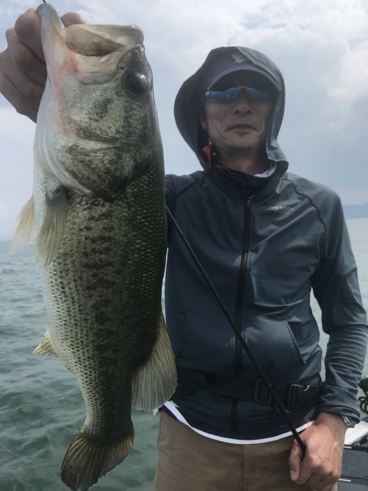 truth  ブログ写真 2019/06/22