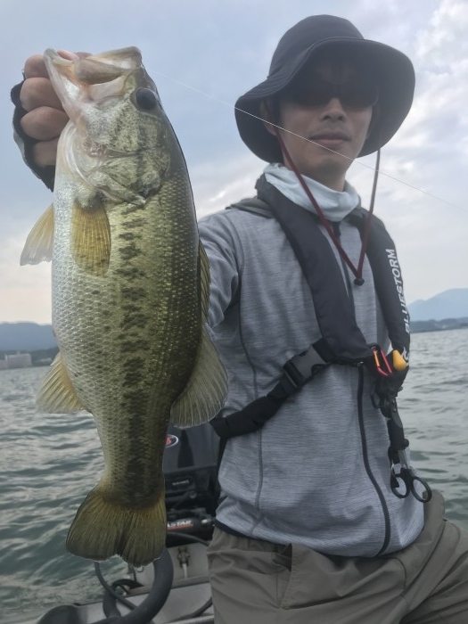 truth  ブログ写真 2019/06/22