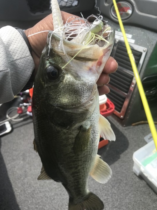 truth  ブログ写真 2019/07/08