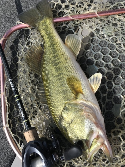 truth  ブログ写真 2019/07/08