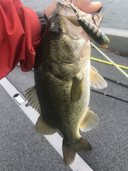 truth  ブログ写真 2019/07/09