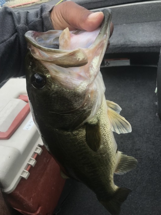 truth  ブログ写真 2019/07/10