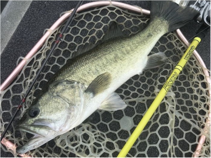 truth  ブログ写真 2019/07/10