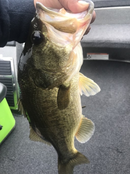 truth  ブログ写真 2019/07/12