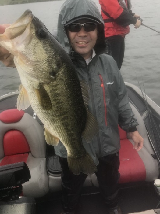 truth  ブログ写真 2019/07/12