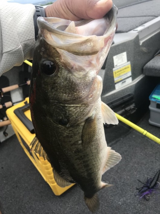 truth  ブログ写真 2019/07/13