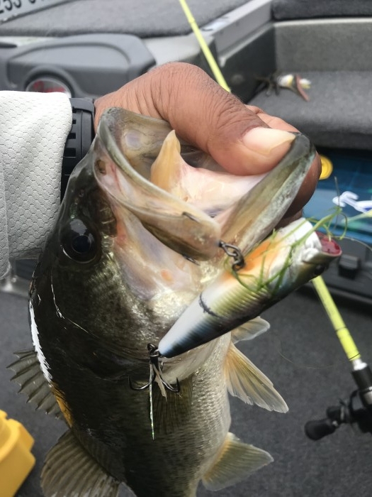 truth  ブログ写真 2019/07/13