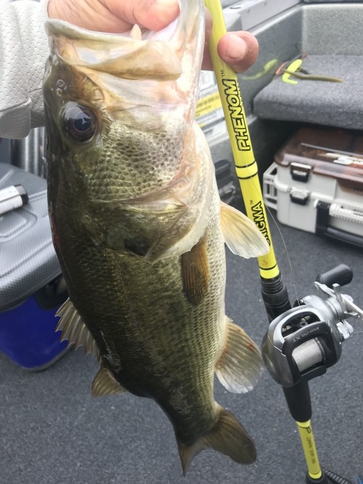 truth  ブログ写真 2019/07/15