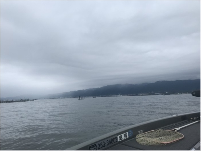 truth  ブログ写真 2019/07/15