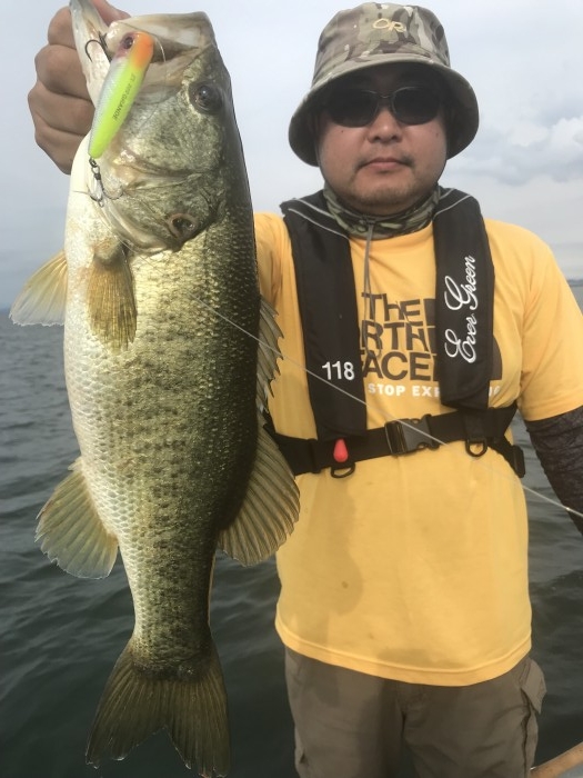 truth  ブログ写真 2019/07/16