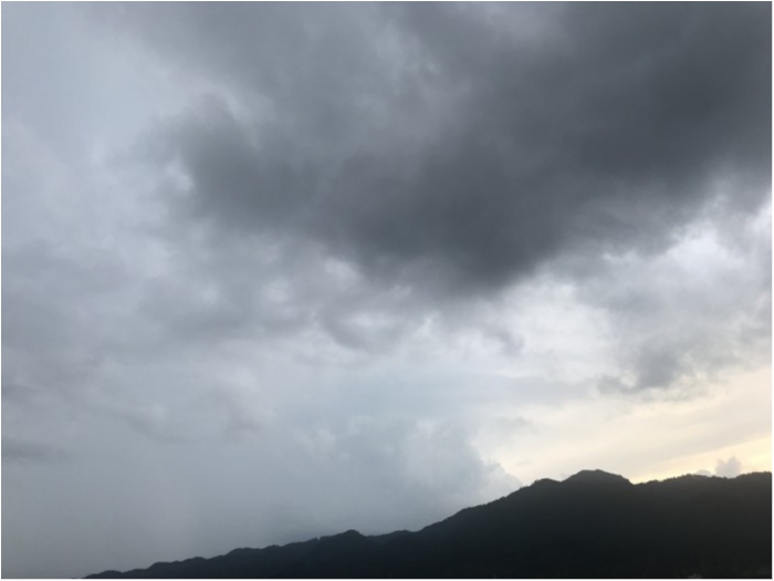 truth  ブログ写真 2019/07/16