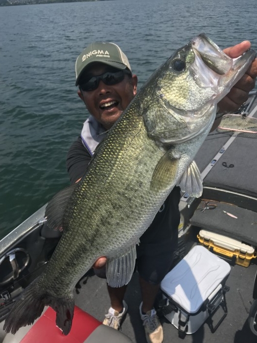 truth  ブログ写真 2019/07/17