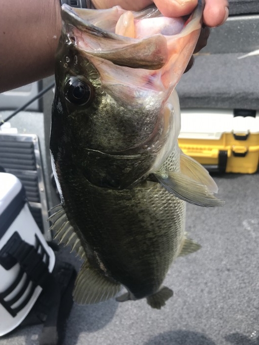 truth  ブログ写真 2019/07/17