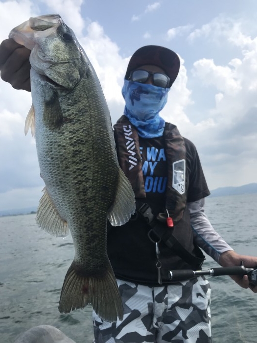 truth  ブログ写真 2019/07/17