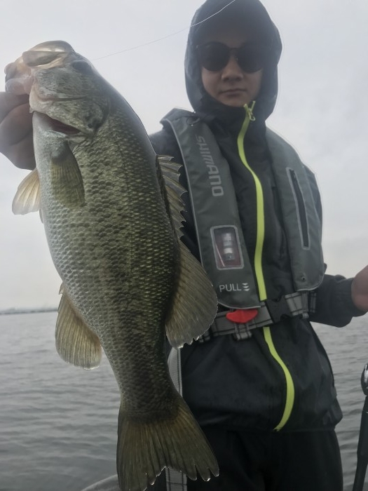 truth  ブログ写真 2019/07/18