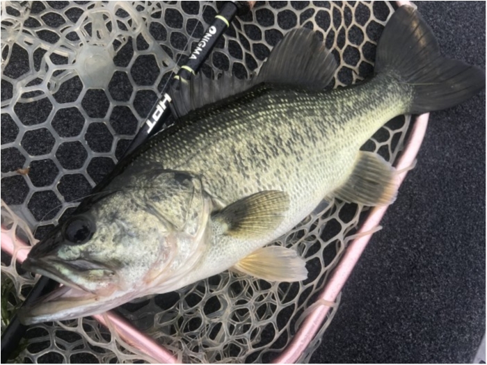 truth  ブログ写真 2019/07/18