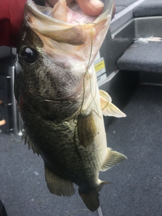 truth  ブログ写真 2019/07/18