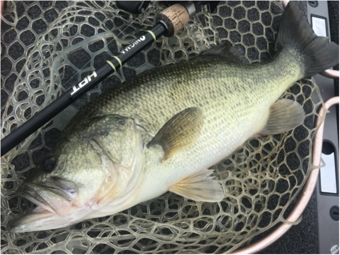 truth  ブログ写真 2019/07/18