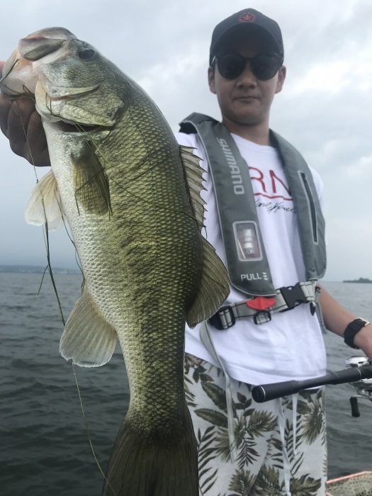 truth  ブログ写真 2019/07/18