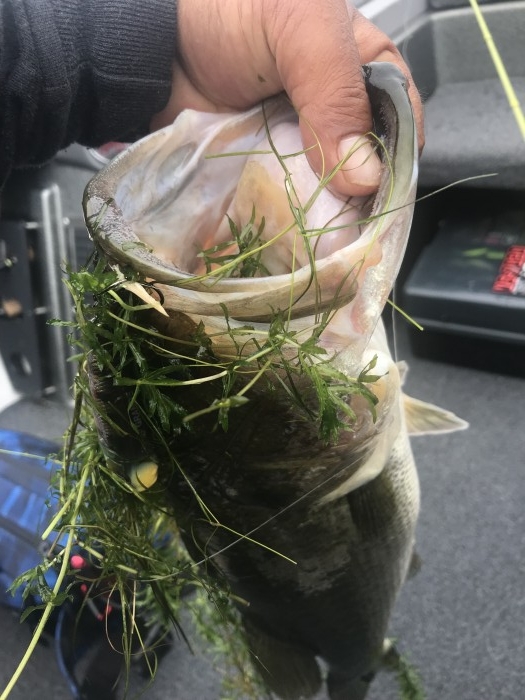 truth  ブログ写真 2019/07/20