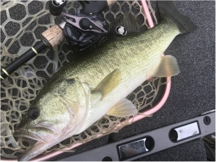 truth  ブログ写真 2019/07/20