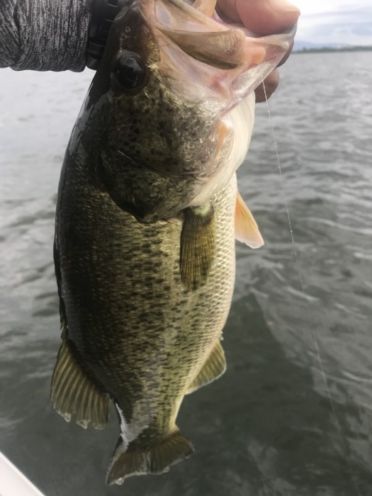 truth  ブログ写真 2019/07/21