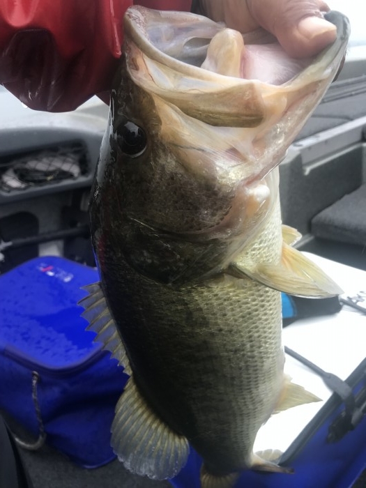 truth  ブログ写真 2019/07/22