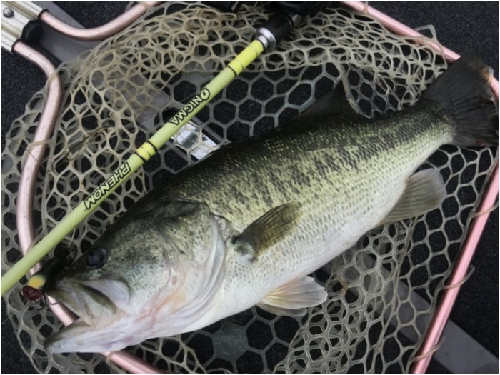 truth  ブログ写真 2019/07/22