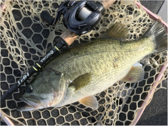 truth  ブログ写真 2019/07/23