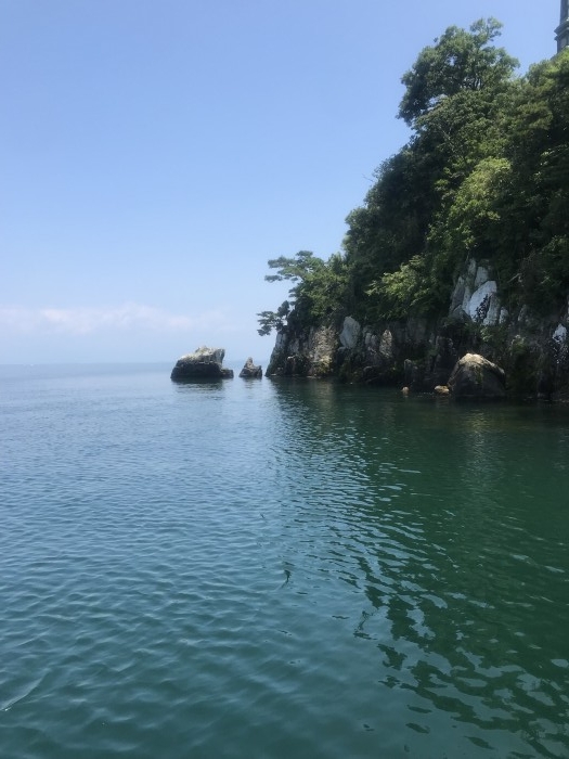 truth  ブログ写真 2019/08/01