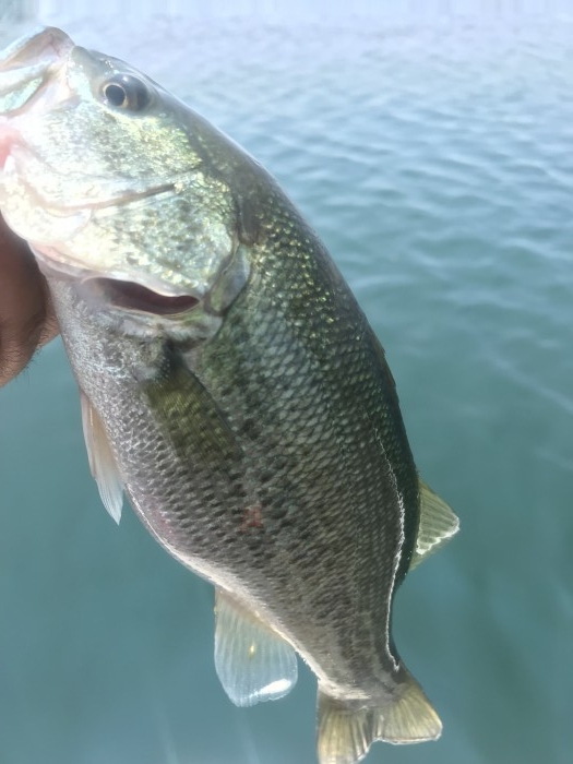 truth  ブログ写真 2019/08/01