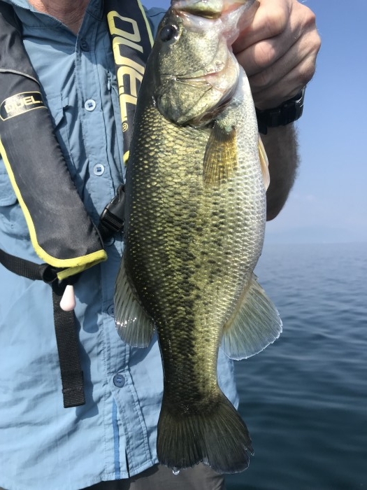 truth  ブログ写真 2019/08/01