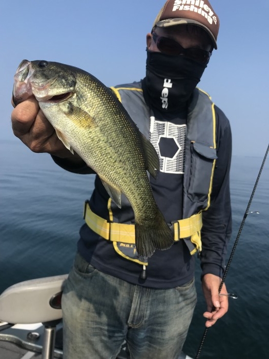 truth  ブログ写真 2019/08/02